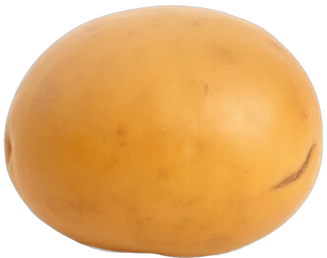 A potato